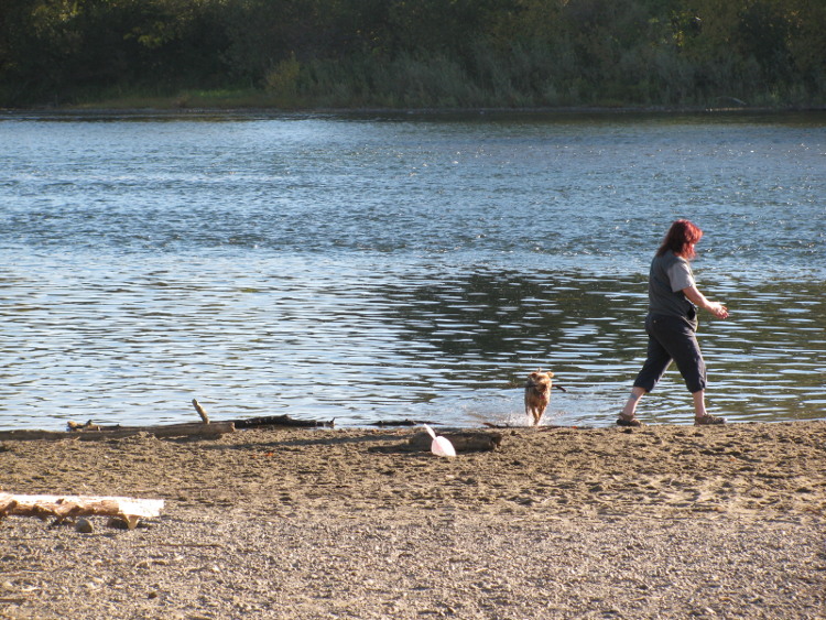 The American River landing beach in River Park, adjacent to East Sacramento.